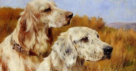 Cuối năm 2021, 3 con giáp được Thần Tài chiếu cố, đón Tết dư dả