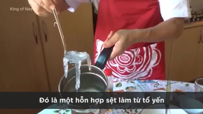 Video: Không còn quý hiếm nhưng đây là lí do tổ yến vẫn siêu đắt đỏ