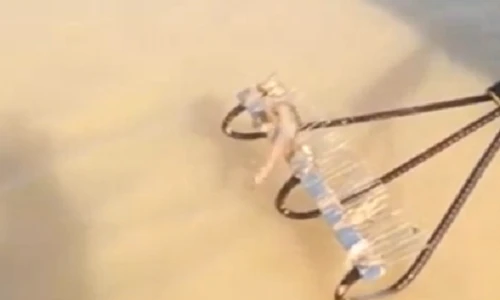 Tuyệt chiêu cào cá chạch của người dân miền Tây