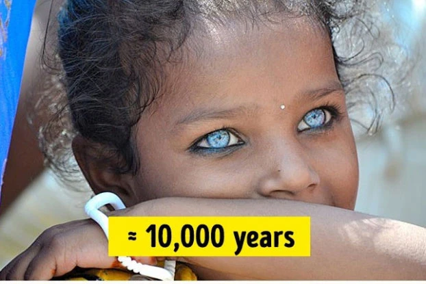 Té ngửa 13 điều tưởng chừng khó tin nhưng có thật trên TG 