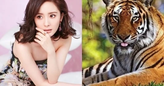 Gà gáy sang canh ngày 1/11 âm lịch: 3 con giáp được nhận lộc trời ban