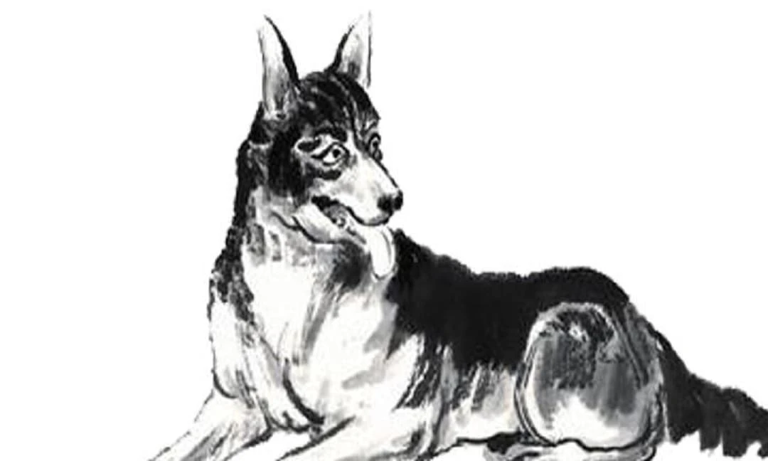 Tuần mới (13 -19/12): top 3 con giáp được Thần Tài gõ cửa