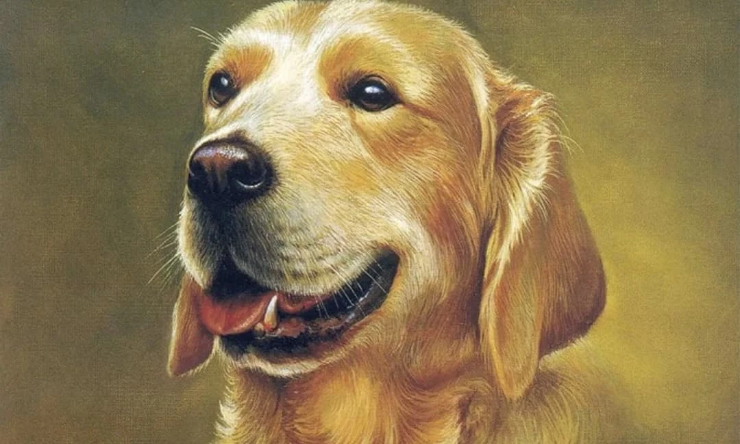 Rằm tháng 11 âm lịch: 3 con giáp có cơ hội phát tài, sự nghiệp thăng hoa