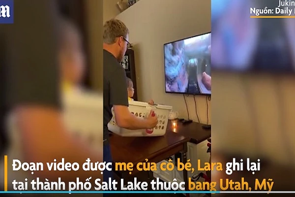 Video: Cha làm tàu lượn siêu tốc cho con chơi trong lúc ở nhà cách ly