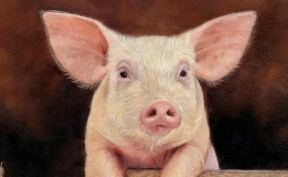 Cuối năm 2021: Thần Tài quay lưng, 3 con giáp vừa thị phi vừa mất của 