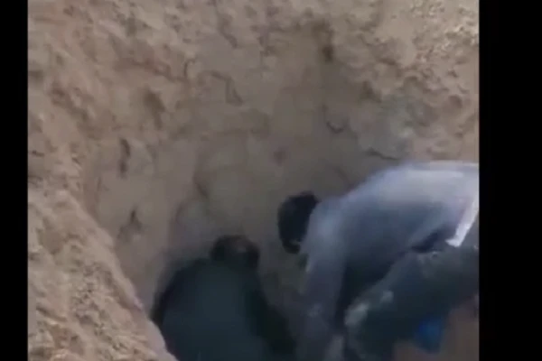 Video: mang mẹ già đi chôn sống và lời nói dối của con trai