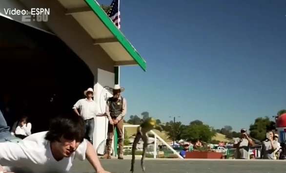 Video : Cuộc thi treo thưởng cả trăm triệu, hàng nghìn chú ếch đua tài