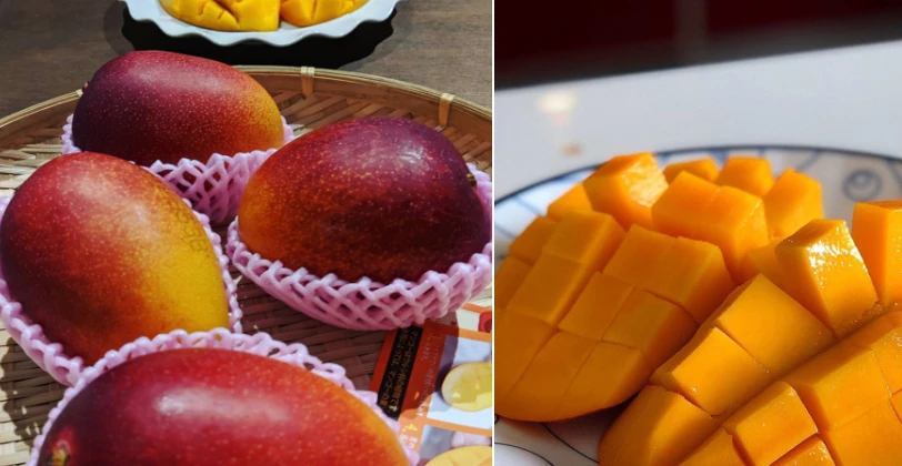 6 món ăn đắt đỏ được giới nhà giàu Nhật ưa chuộng