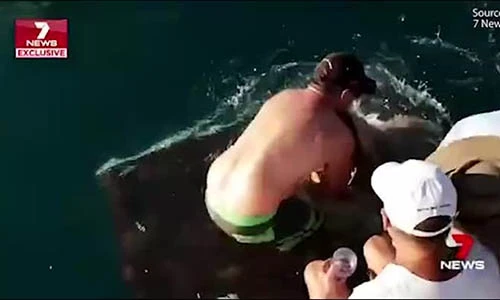 Video: Cô gái Úc bất ngờ bị cá mập khổng lồ kéo xuống nước