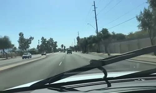 Video: Đang lái xe, hoảng hốt thấy rắn bò trườn ngay trước mặt