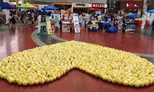 Kết đắng những màn tỏ tình bằng trái cây gây xôn xao 