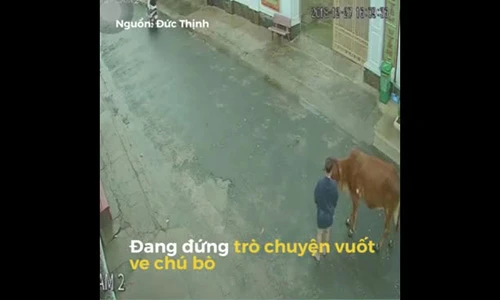 Video: Cô gái bị bò đá trên phố và cái kết khiến ai cũng hết hồn