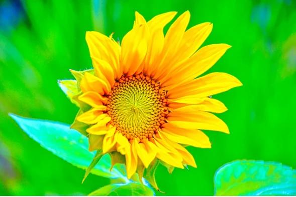 5 con giáp có tuổi trẻ lận đận, đến tuổi trung niên ngồn yên hứng tiền 