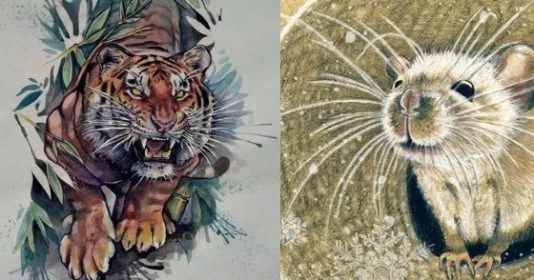 3 con giáp trời sinh tốt số, sự nghiệp tiền tài sáng như pháo hoa 