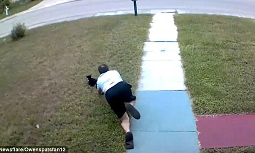 Video: Chết cười với ông chồng liên tục vồ trượt mèo của vợ