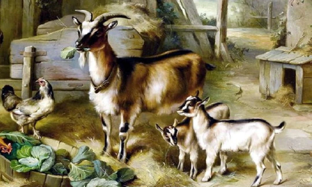 3 con giáp thất bại lắm, xui xẻo nhiều trong tuần mới (22-28/11)