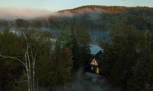 Ngôi nhà nhỏ nằm trong rừng khiến dân thành phố cũng phải mê mẩn