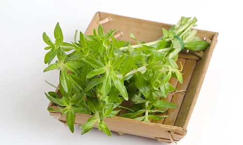 9 loại rau, củ mùa Đông hỗ trợ chữa ho, long đờm hiệu quả