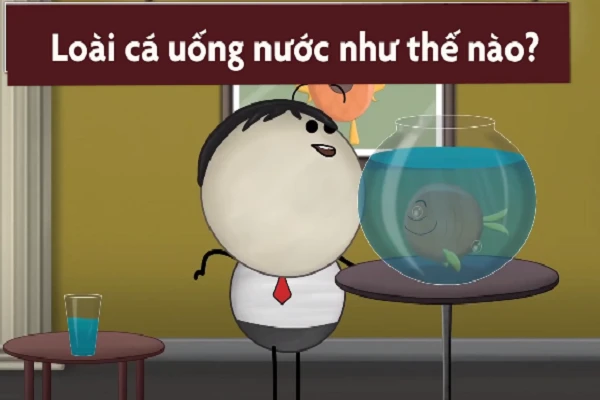Video: Loài cá uống nước như thế nào?