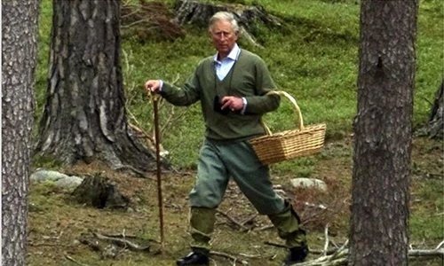 Chế độ ăn uống của gia đình hoàng gia Anh có gì đặc biệt