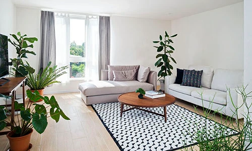 Vợ chồng trẻ hô biến nhà hoang thành "biệt thự bonsai" đẹp "phát thèm"