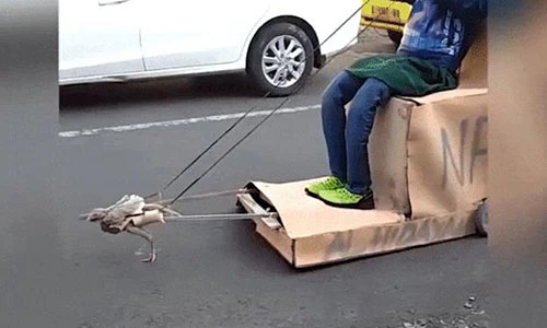 Video: Dân tình tò mò khi “siêu xe” xuất hiện trên đường phố