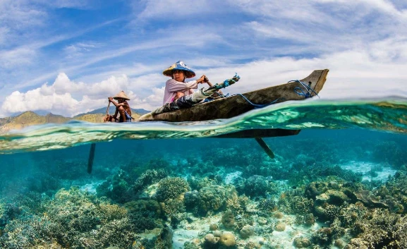 Loạt ảnh dưới nước thay đổi cách nhìn về đại dương