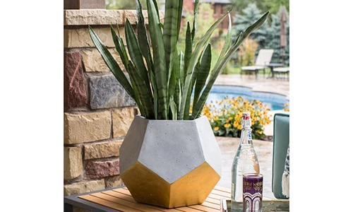 Loạt chậu trồng cây siêu xinh, nhìn là muốn rinh ngay về nhà