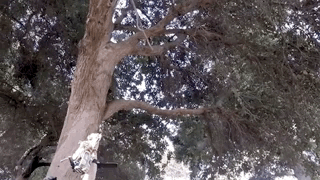 Nguoi dan ong che tao dung cu du day nhu Batman-Hinh-2