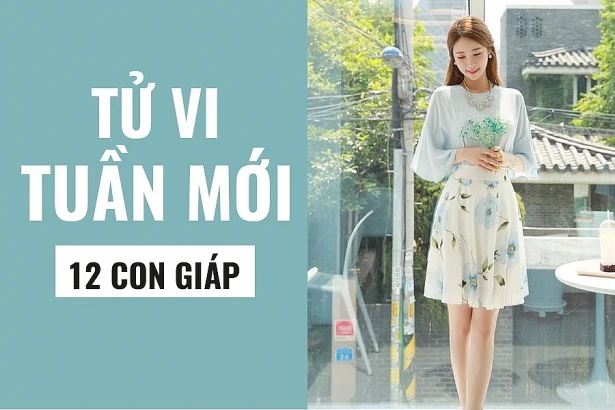 Video: Tử vi tuần mới từ 2/12 đến 8/12 năm 2019 của 12 con giáp