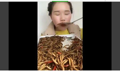 Video: “Nữ hoàng côn trùng” ăn rết, bọ cạp, giun… ngon lành như bim bim