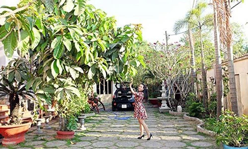 Thăm nhà tràn ngập cây xanh của diễn viên “Vó ngựa trời Nam”