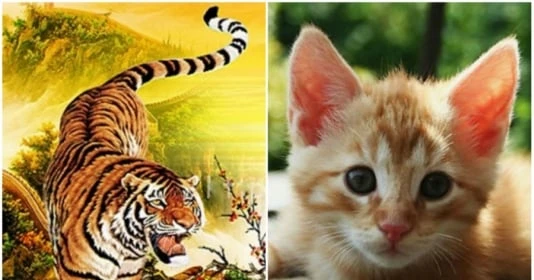 Tuần mới: 3 con giáp chính thức thoát nghèo, đổi vận sung sướng