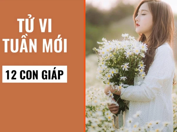 Video: Tử vi tuần mới từ 30/9 đến 6/10 năm 2019 của 12 con giáp