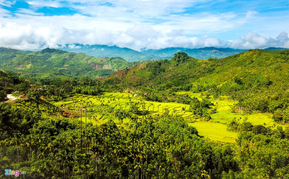 Xứ sở ngàn cau: Ăn cơm dưới đất làm việc trên trời mang lại tiền tỷ