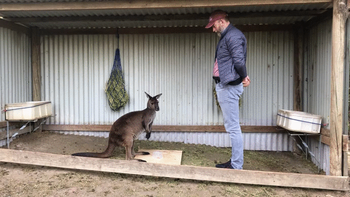 Chuot tui co kha nang giao tiep voi con nguoi khong?-Hinh-2