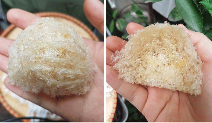 Bi quyet chon mua yen sao gia mem ma van chuan xin-Hinh-7