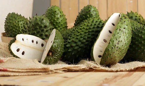 Video: Thế giới săn lùng loại lá chữa ung thư còn nhanh hơn cả hóa trị