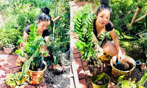 Chiêm ngưỡng khu vườn tràn ngập cây xanh của Thúy Nga