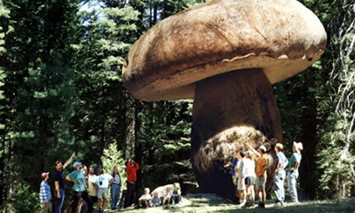 "Sốc toàn tập" những sự thật khó tin nhất trên thế giới