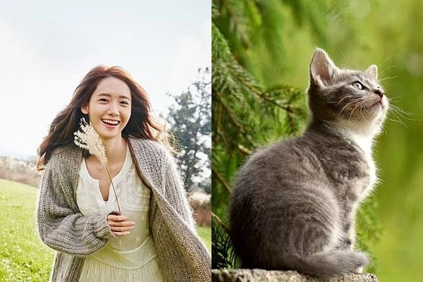 3 con giáp ra cửa là ôm lộc về, cả năm phú quý hưng thịnh