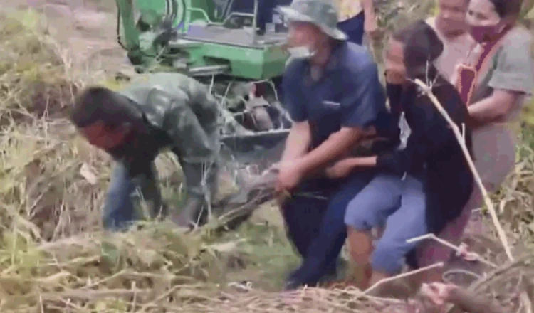 Video: Dân hợp sức tóm sống trăn khổng lồ nặng 100kg nấp trong vườn