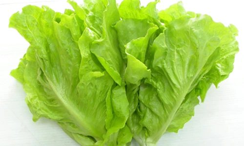 Video: Mẹo bảo quản xà lách, bắp cải lâu ngày vẫn như mới hái