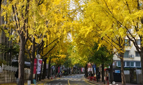 Con đường "tình yêu tan vỡ" khiến các cặp đôi không dám bén mảng