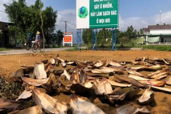 Chuyện thật như đùa: Người đàn ông mua rác về biến thành tiền