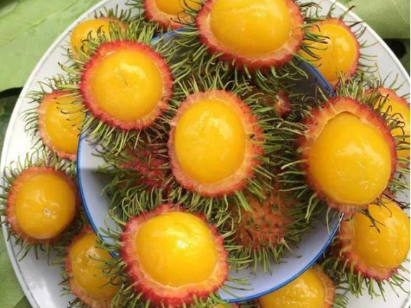 Loại chôm chôm lạ ai cũng tưởng nhập ngoại, tìm hiểu nguồn gốc dân Việt mới ngã ngửa