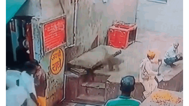 Video: Khỉ táo tợn cướp rắn hổ mang khỏi tay người đàn ông