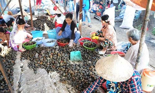 Đi chợ đặc sản “rặt đồng” mùa nước nổi ở ĐBSCL