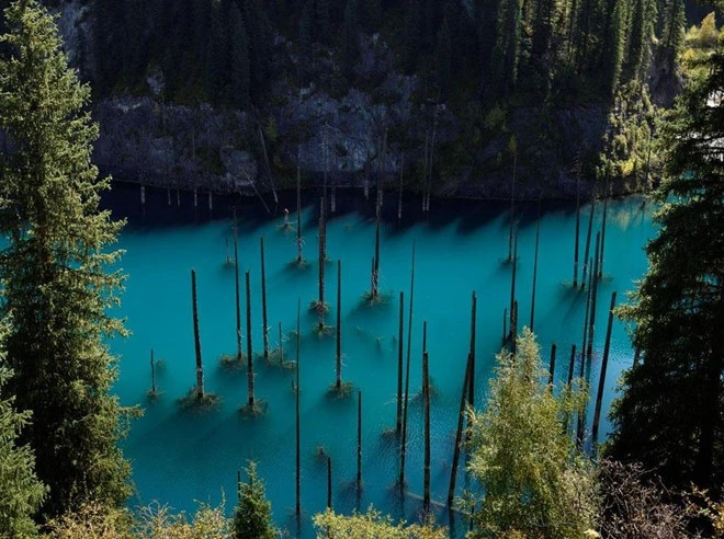 Video: Khám phá thế giới siêu thực ở hồ cây mọc ngược lạ kỳ