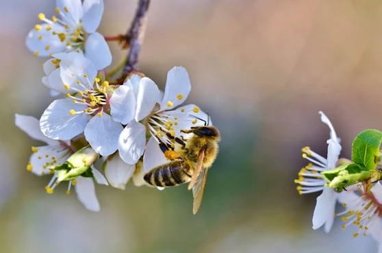 Trẻ sinh vào 5 ngày Âm lịch này có đức, có tài, cuộc sống phú quý